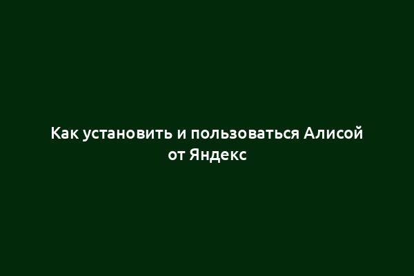 Как установить и пользоваться Алисой от Яндекс