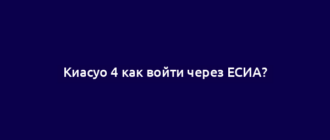 Киасуо 4 как войти через ЕСИА?