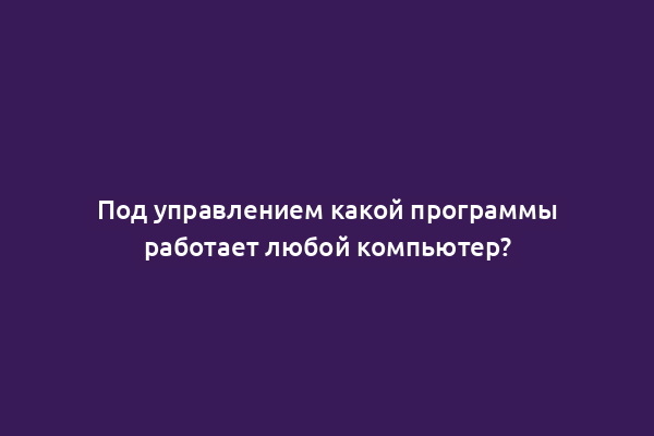 Под управлением какой программы работает любой компьютер?