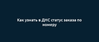 Как узнать в ДНС статус заказа по номеру