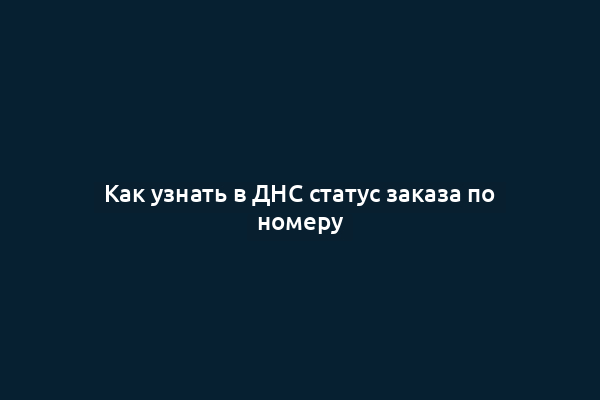 Как узнать в ДНС статус заказа по номеру