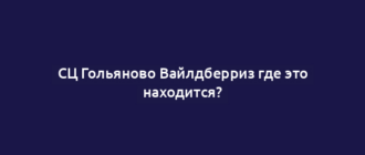 СЦ Гольяново Вайлдберриз где это находится?