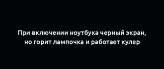 При включении ноутбука черный экран, но горит лампочка и работает кулер
