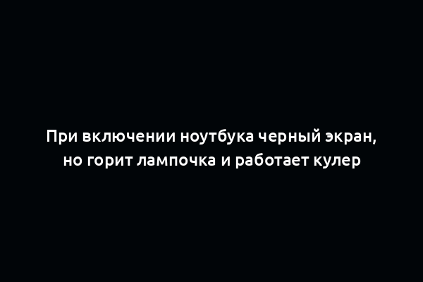 При включении ноутбука черный экран, но горит лампочка и работает кулер
