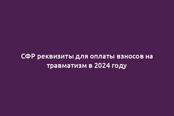 СФР реквизиты для оплаты взносов на травматизм в 2024 году