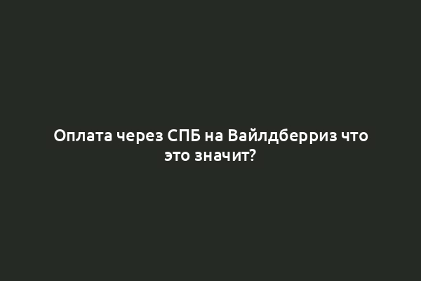 Оплата через СПБ на Вайлдберриз что это значит?