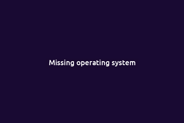 Missing operating system