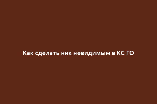 Как сделать ник невидимым в КС ГО