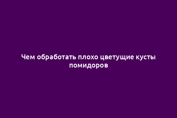 Чем обработать плохо цветущие кусты помидоров