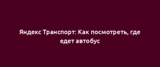 Яндекс Транспорт: Как посмотреть, где едет автобус