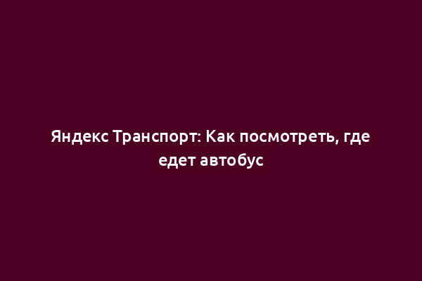 Яндекс Транспорт: Как посмотреть, где едет автобус
