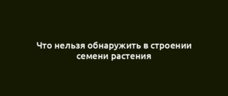 Что нельзя обнаружить в строении семени растения