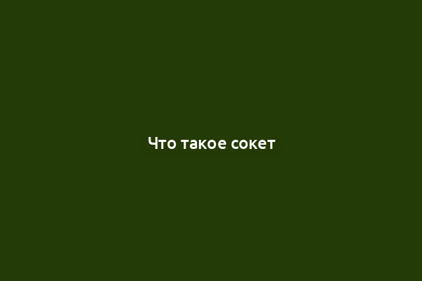 Что такое сокет