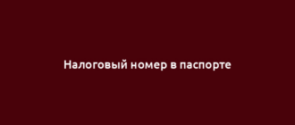 Налоговый номер в паспорте