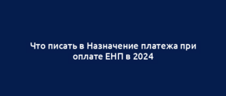 Что писать в Назначение платежа при оплате ЕНП в 2024