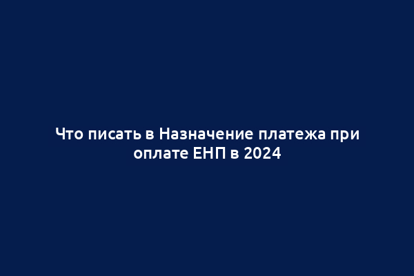 Что писать в Назначение платежа при оплате ЕНП в 2024